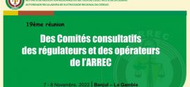 Marché régional de l’électricité de la CEDEAO: L’ARREC mobilise les partenaires à Banjul